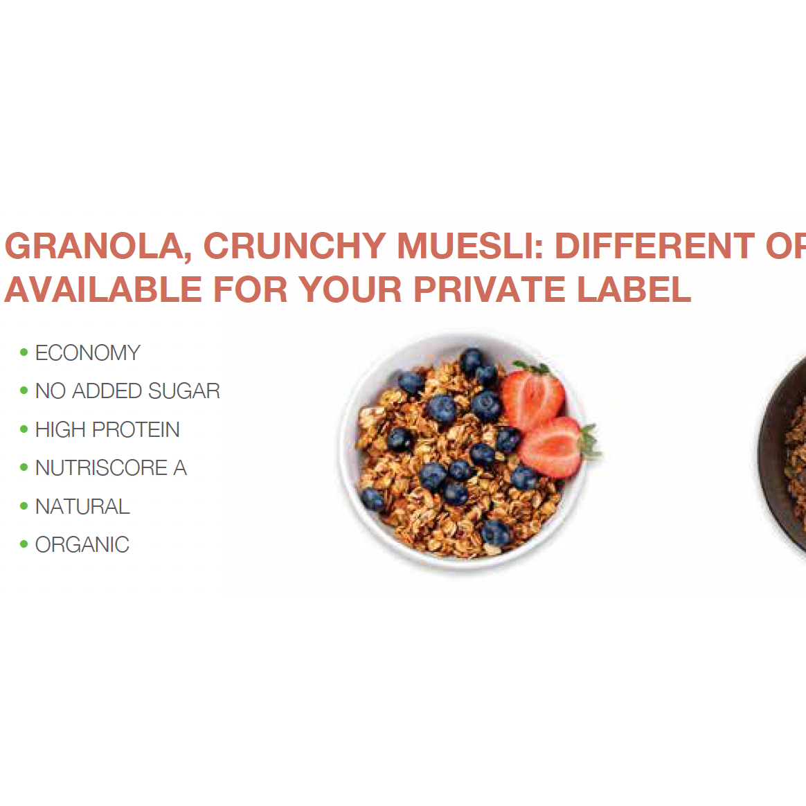 Granola, crunchy muesli bases