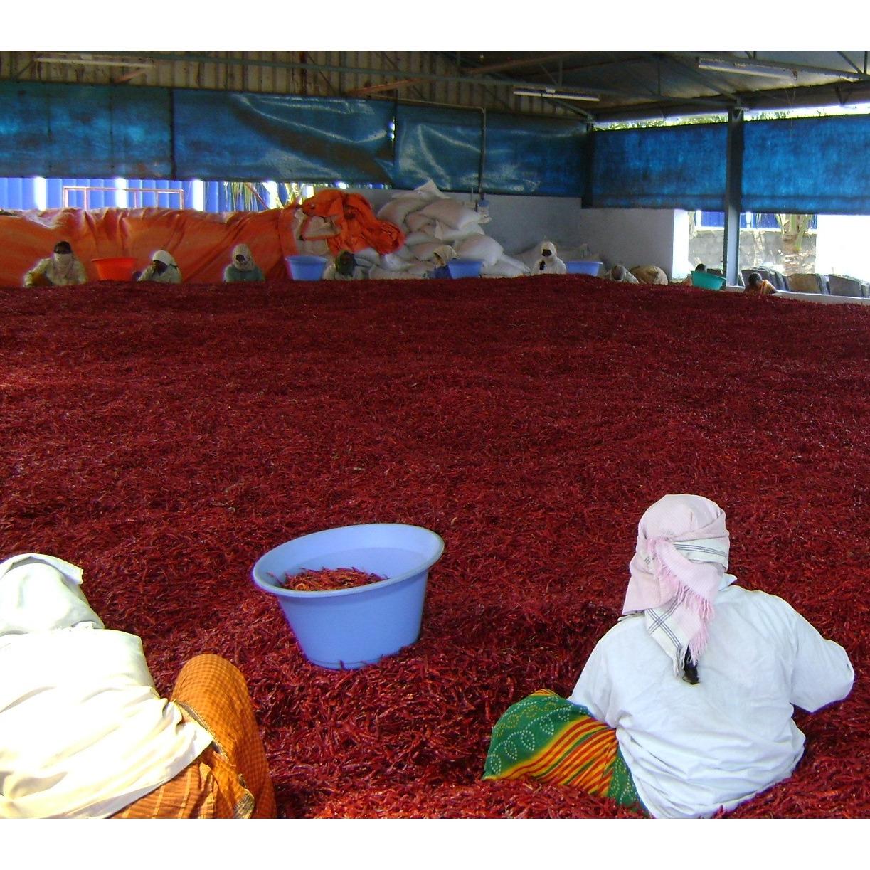 Dried Red Whole Chilli Stemless (Indian Spices )