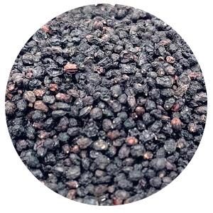 Elderberry