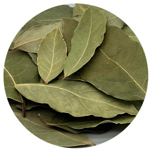 Laurel Leaves
