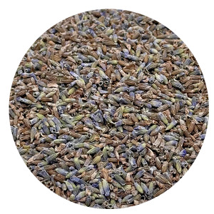 Lavender Flowers