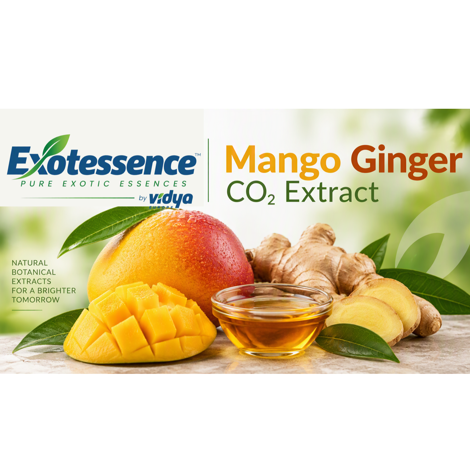Organic Mango Ginger CO2 Extract