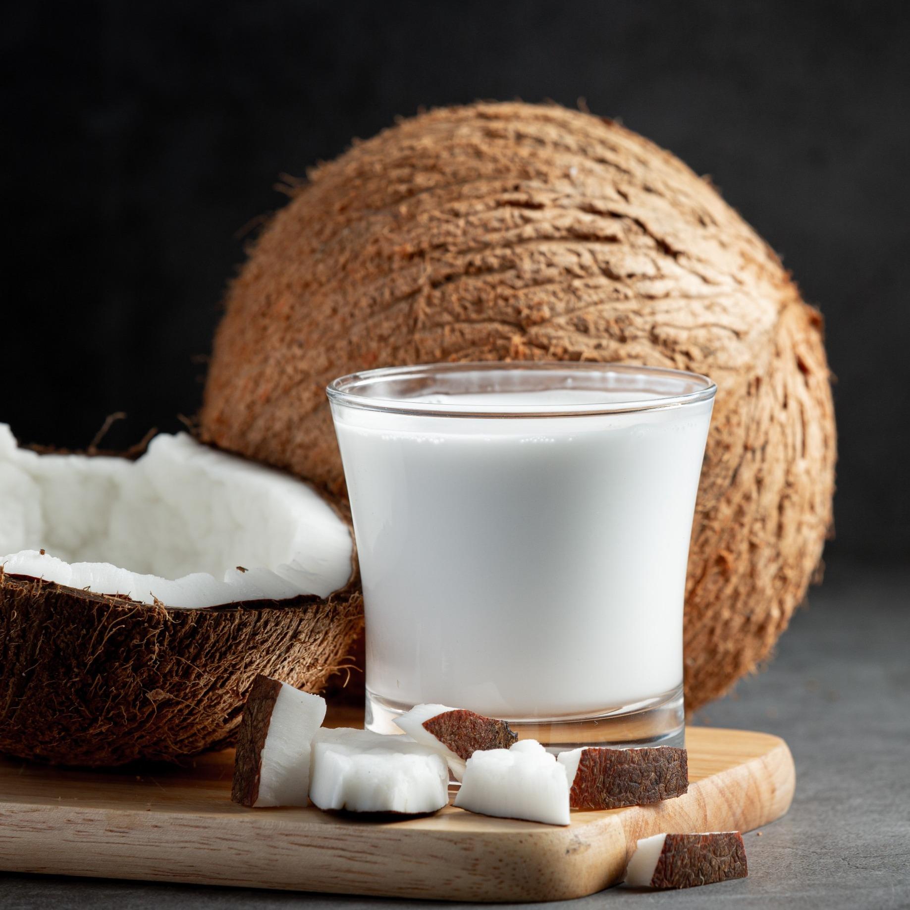 Coconut Milk Powder