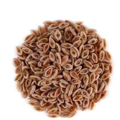 Psyllium Seeds