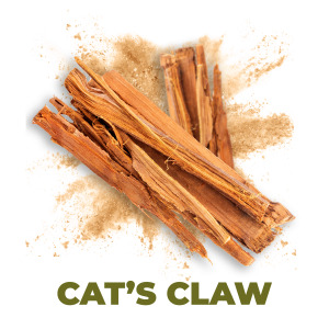 Cat's claw
