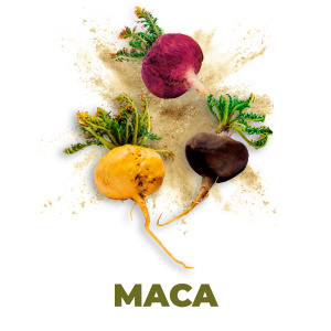 Maca