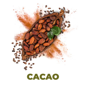 Cacao