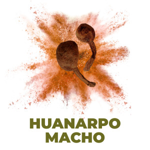 Huanarpo macho