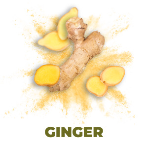 Ginger