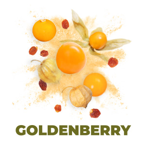 Goldenberry
