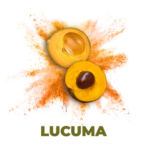 Lucuma
