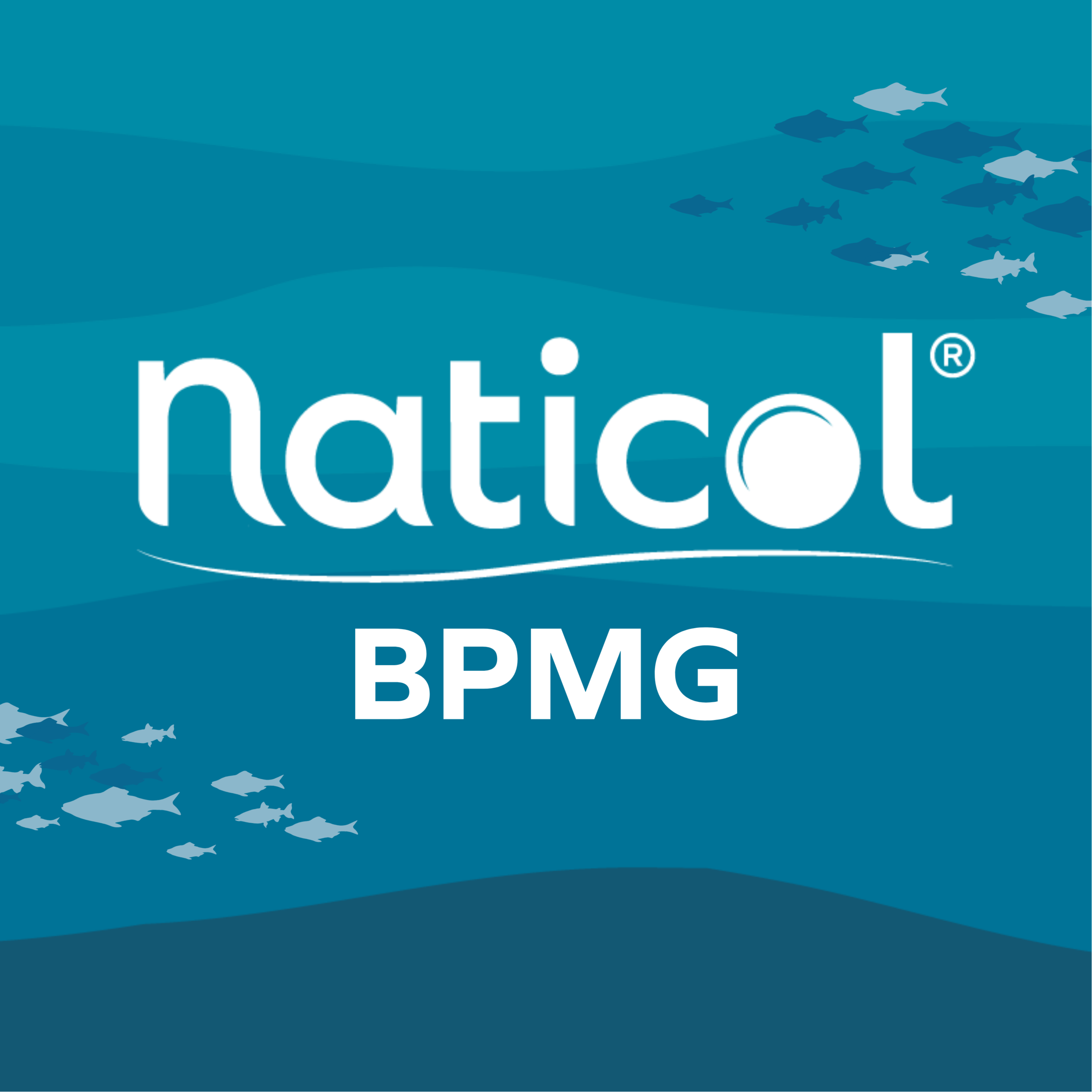 Naticol® BP / BPMG