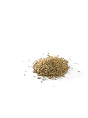 Oat Rice