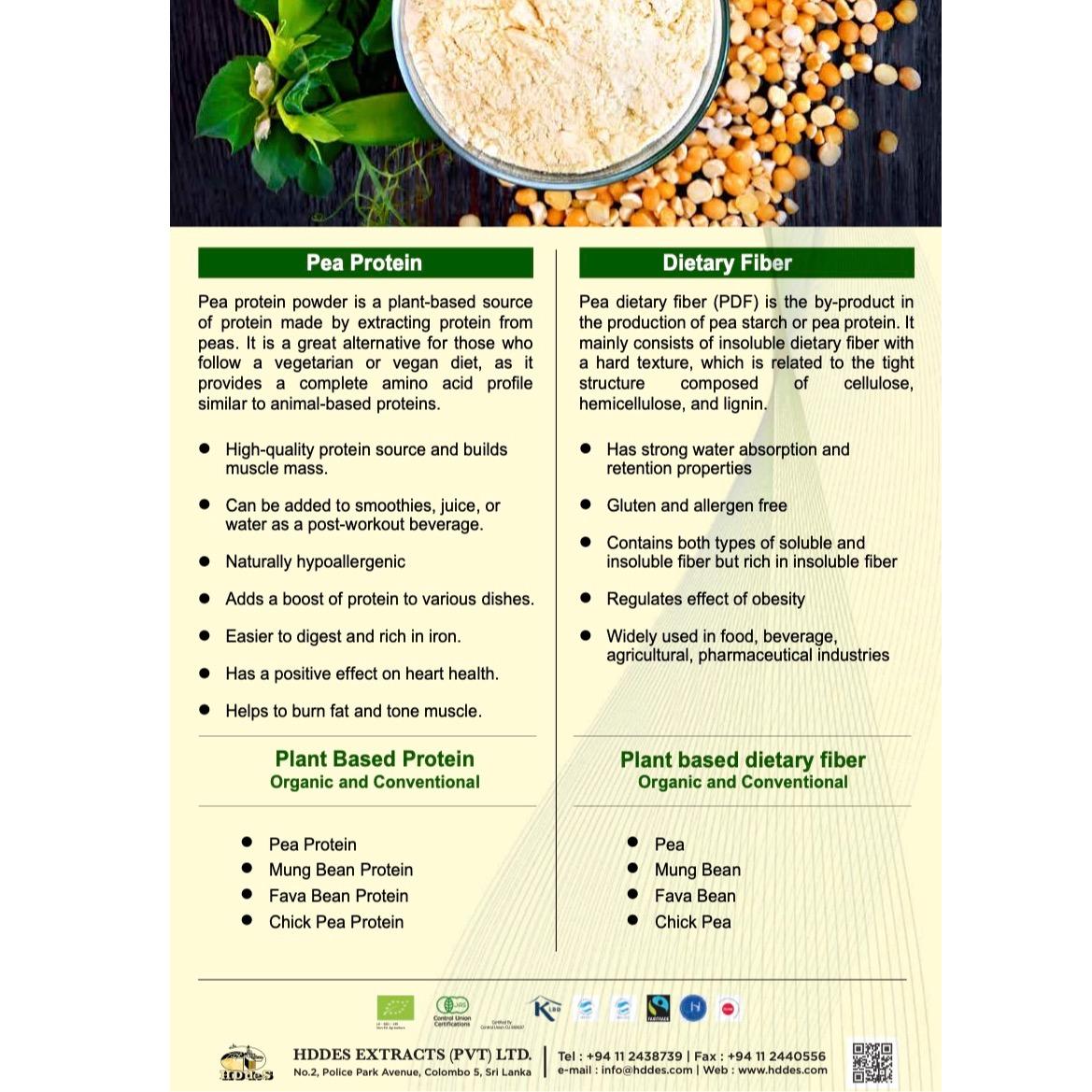 Pea Protein