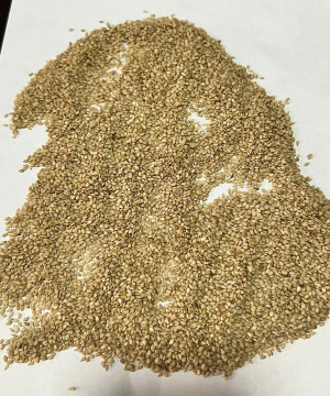 Natural Sesame Seeds