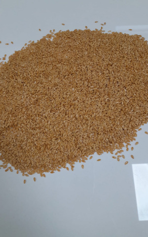 Golden Flaxseeds