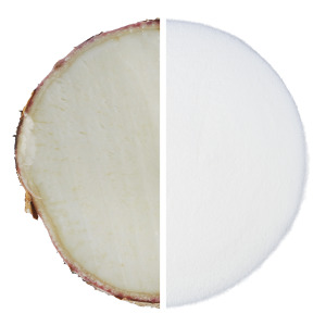 Soluble Tapioca Fiber