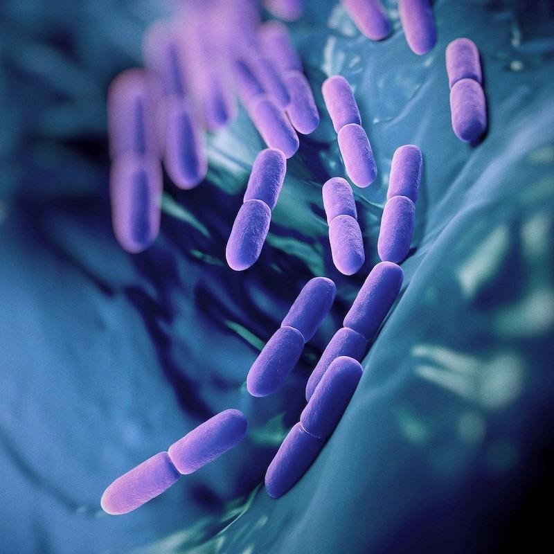 Probiotics Solutions