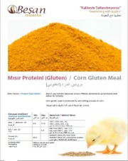 Besan Nisasta corn protein (gluten)