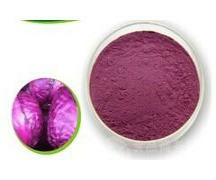 Cabbage extract/Powder