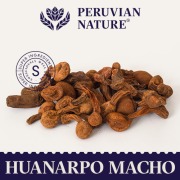 Huanarpo Macho
