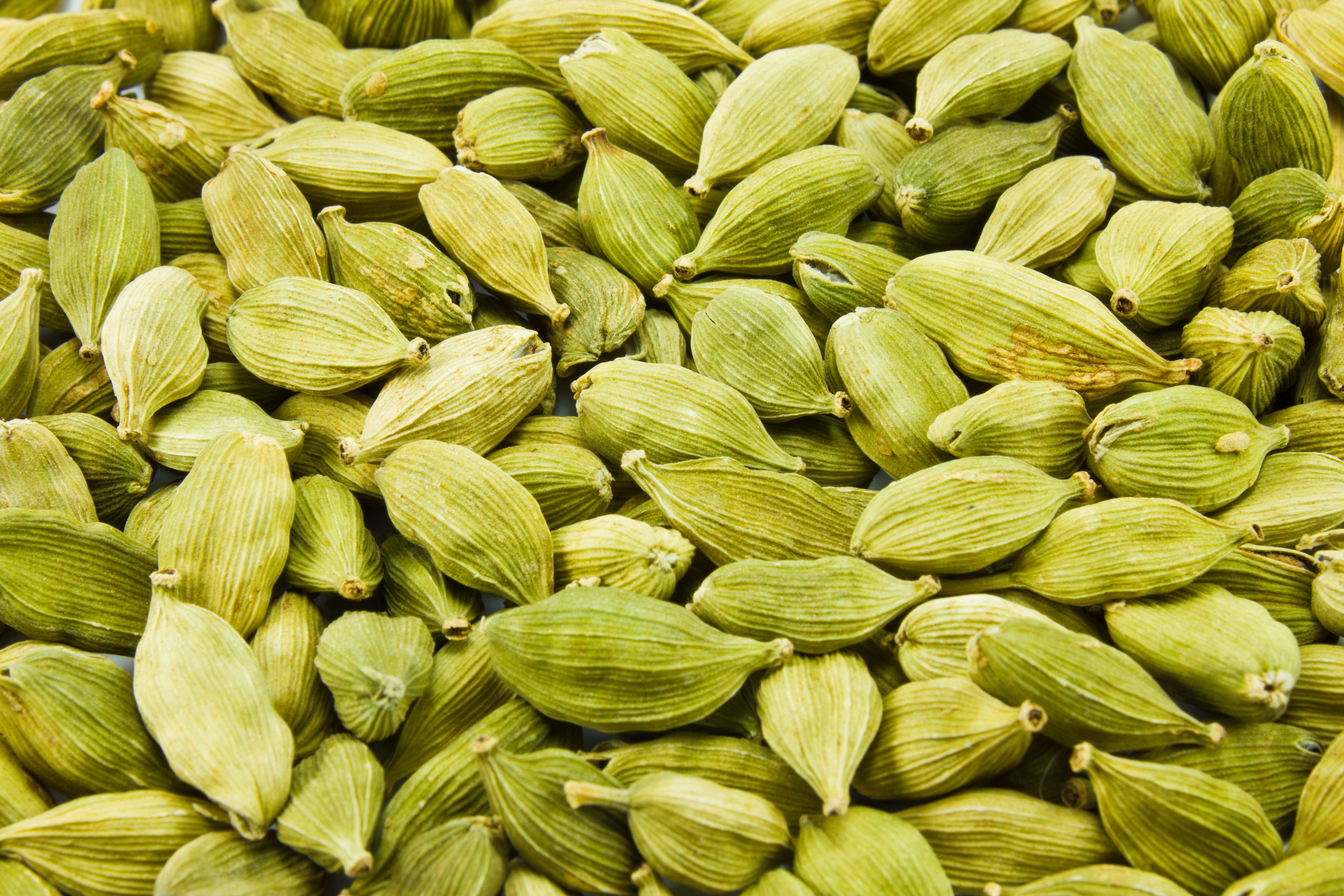Cardamom Oil, Cardamom Oil Supplier, Cardamom Oil Manufacturer, SCFE Co2 Extract Cardamom Oil Exporter