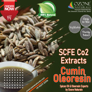 Cumin Oil / Oleoresin- SCFE (Co2) Extract