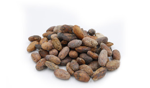 COCOA BEANS ORGANIC AND FAIR TRADE