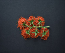 Drumd-dried fruit & vegetable products