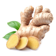 Ginger Extract 2% - 5% Gingerols