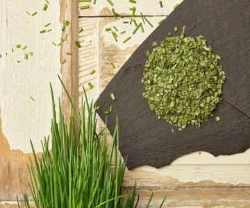 Chives