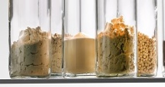 Porcine Collagen