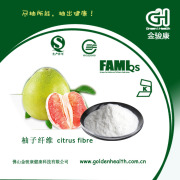 Citrus fiber