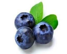 Wild Blueberry Whole
