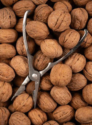 In-shell California walnuts