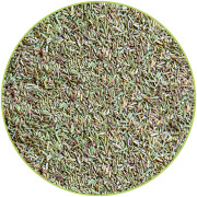 Rosemary Cut Dried Herbs