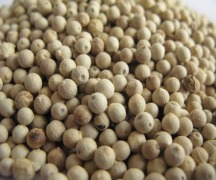 White Pepper (Whole And Powder)