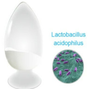 Lactobacillus acidophilus 