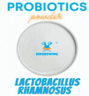 Lactobacillus rhamnosus 