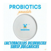 Lactobacillus bulgaricus 