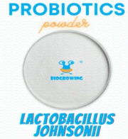 Lactobacillus johnsonii
