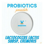 Lactococcus cremoris 