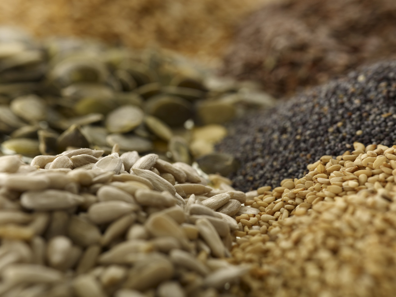 Organic Seeds | Naturkost Übelhör GMBH und Co. KG | Ingredients Network