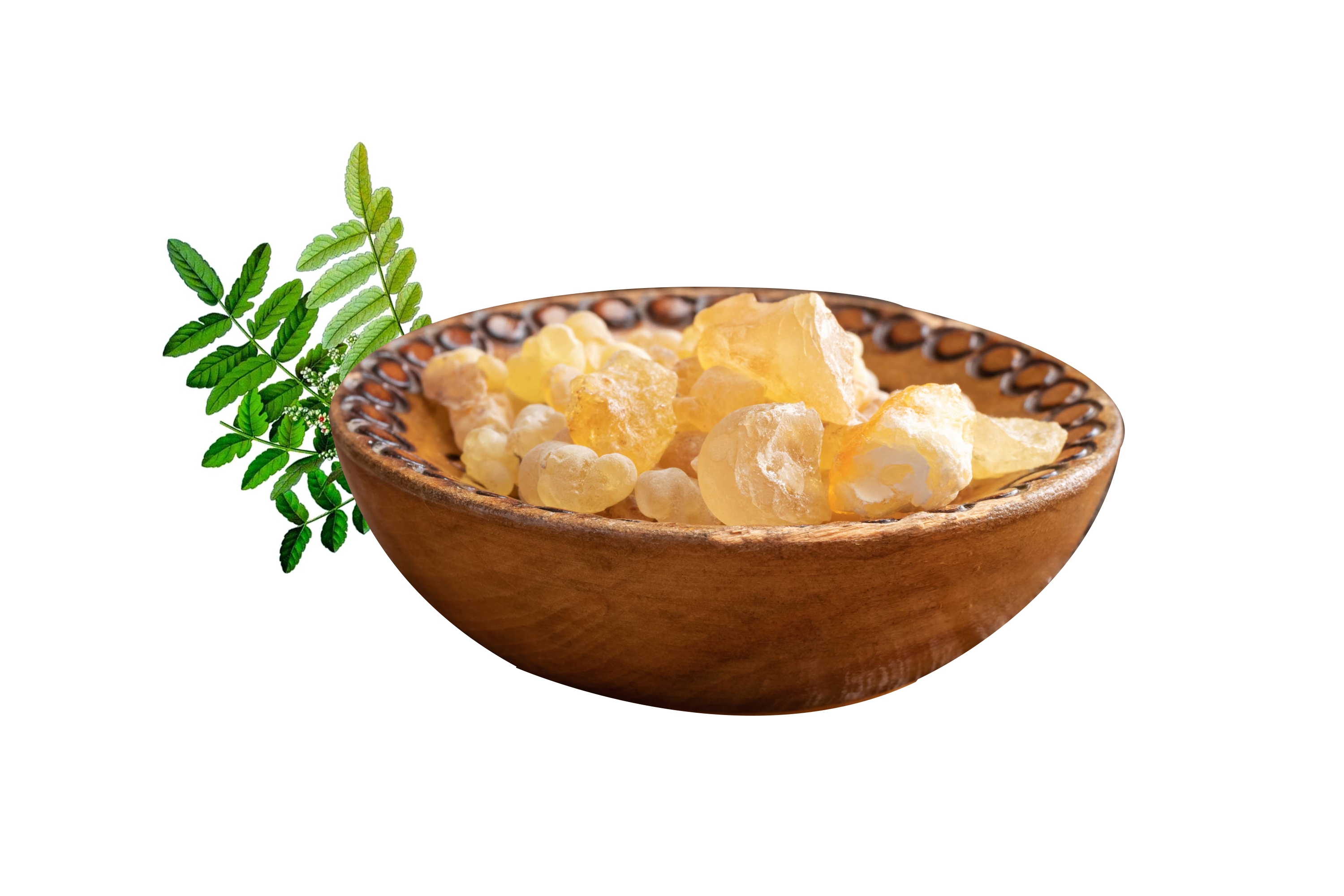 Boswellia Serrata Extract 60% - 90% Boswellic Acids