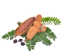 Tamarind extract 9% Tartaric Acid