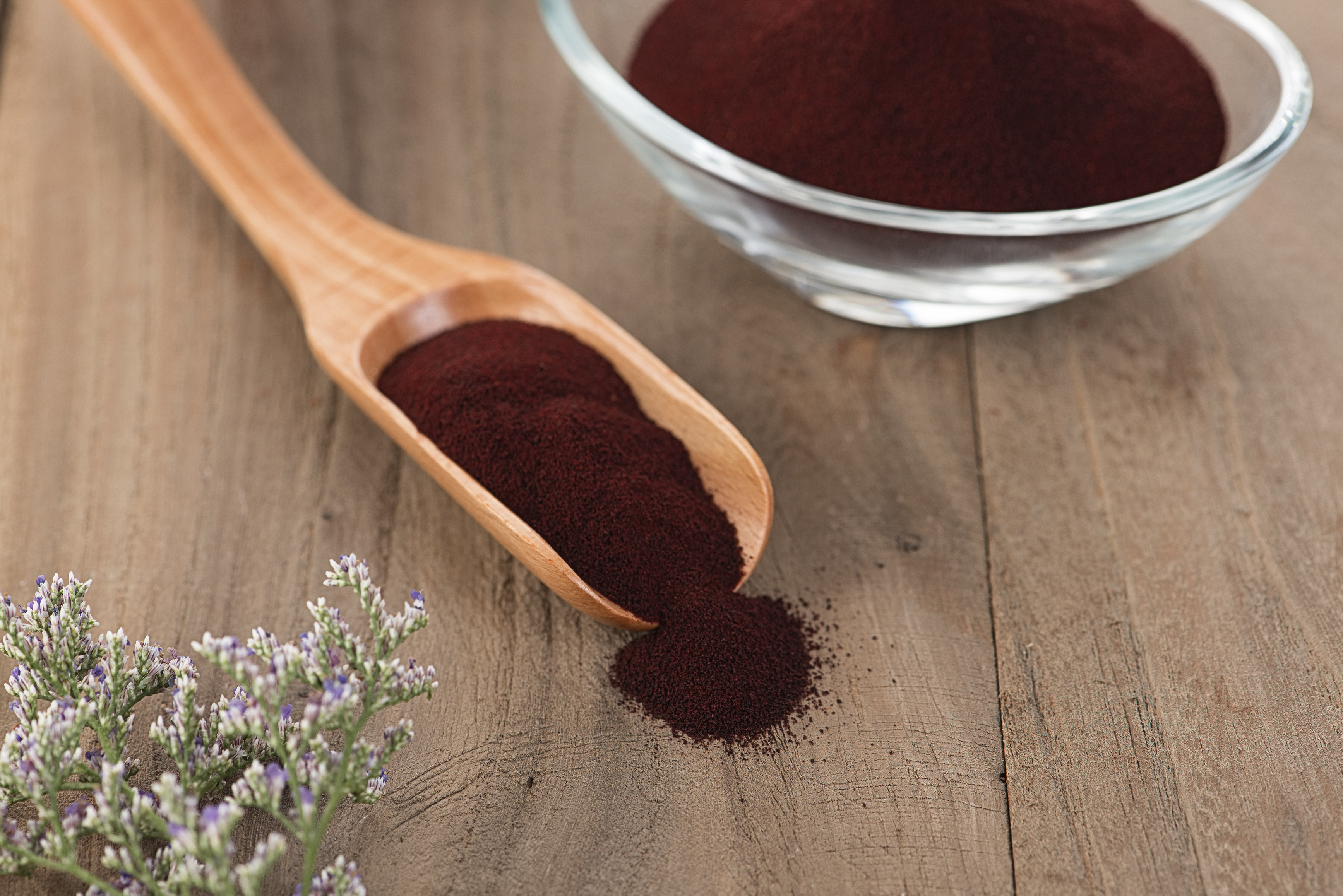 Astaxanthin Powder manufacturer Astaxanthin Powder manufacturer