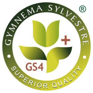 Gymnema sylvestre