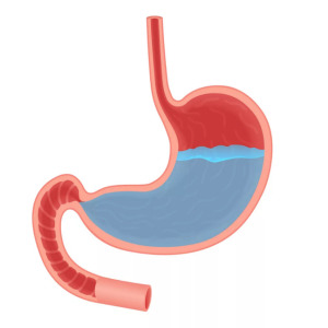 Ultra-low viscosity sodium alginate