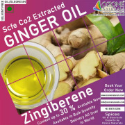 Ginger Oil/ Oleoresin - SCFE(Co2) Extract