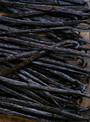 Vanilla pods